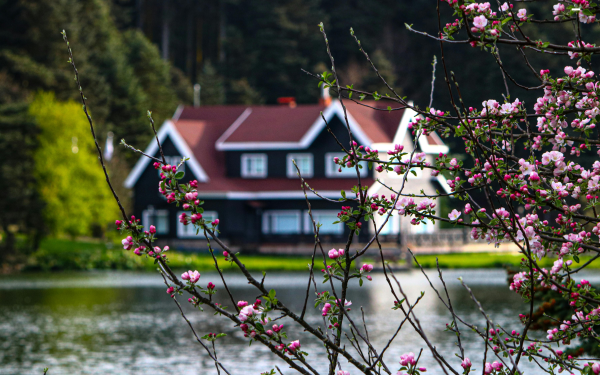 Why Spring Appraisals Matter More Than You Think in Park Falls, Wisconsin